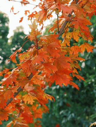 12-Day Multi-Country Tanzania Tour Guide, Take It Without Thanks