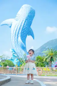 懶人福音！珠海長隆輕鬆兩日遊攻略路線