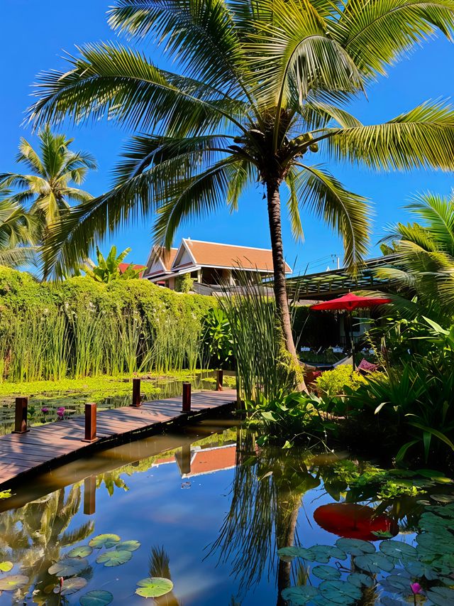 琅勃拉邦蓮花餐廳,像在油畫裡用餐 琅勃拉邦蓮花餐廳,像在油畫裡用餐