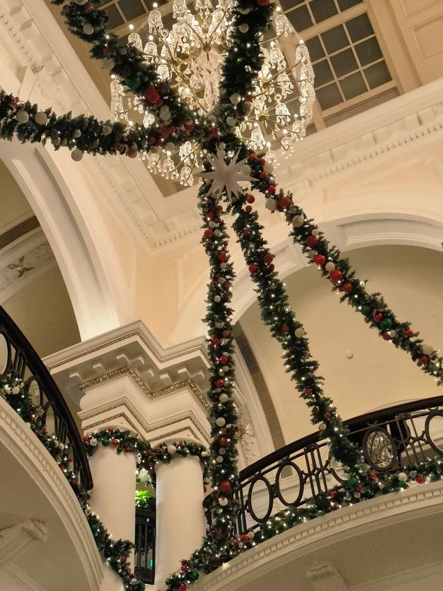 食物會說話，聖誕在發芽