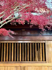 live赴一場人少景美的寶山寺唐風紅葉之約