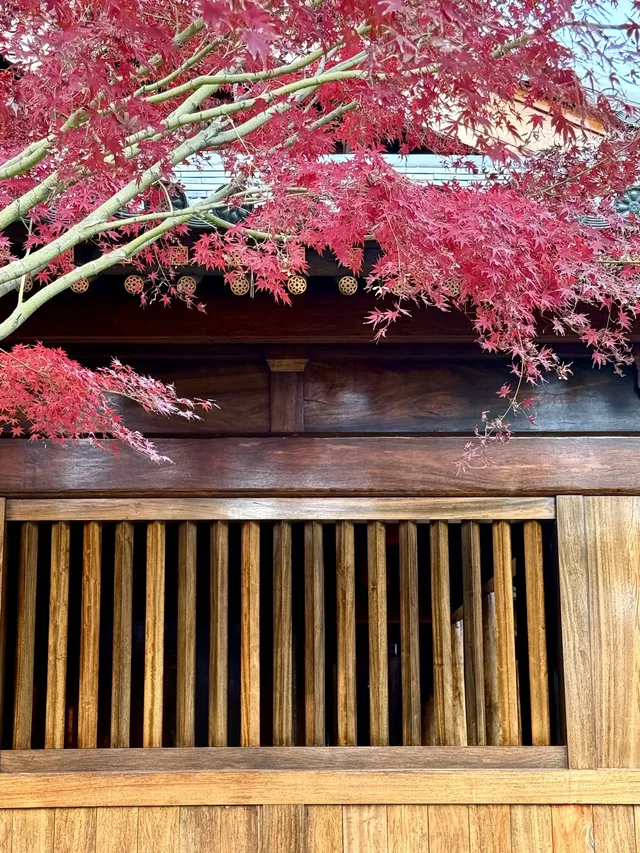 live赴一場人少景美的寶山寺唐風紅葉之約 live赴一場人少景美的寶山寺唐風紅葉之約