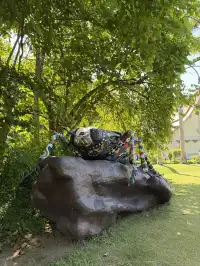 西雙版納的中科院植物園yyds！