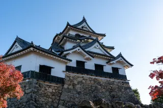 교토&시가 솔로 4일 3박 여행