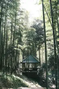 11月末的莫干山 我遇見了最治癒的深秋