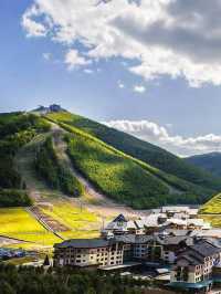 太舞酒店雪景中的浪漫窩
