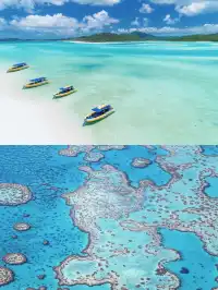 聖靈群島 | 雙套餐玩法承包夢幻海陸空