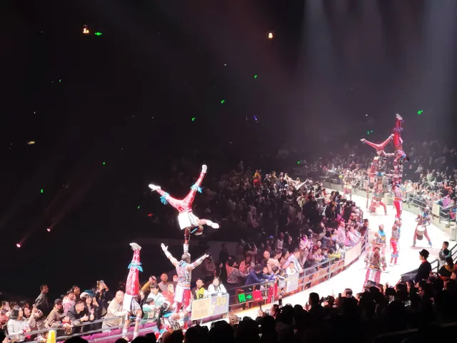 普通票廣州長隆大馬戲C位攻略 普通票廣州長隆大馬戲C位攻略