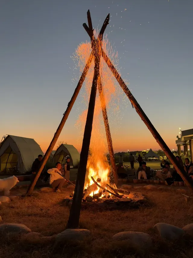 蘇州陽澄湖｜帶快樂小狗來草坪撒歡打滾