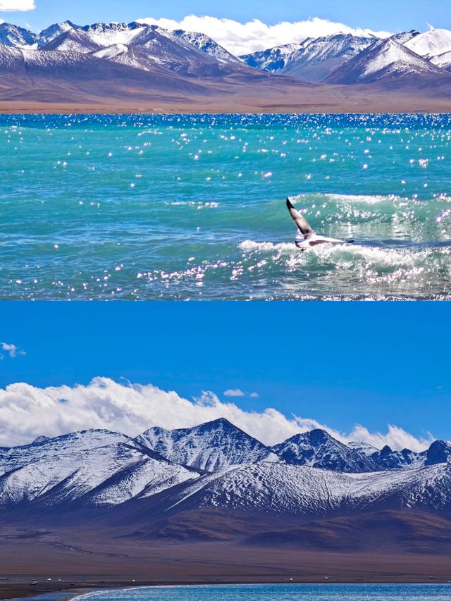 納木措扎西島絕美玩法！高原小白也能拍出大片