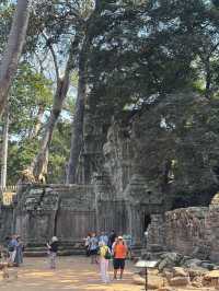 一個人solo柬埔寨吳哥窟,大小圈行程攻略