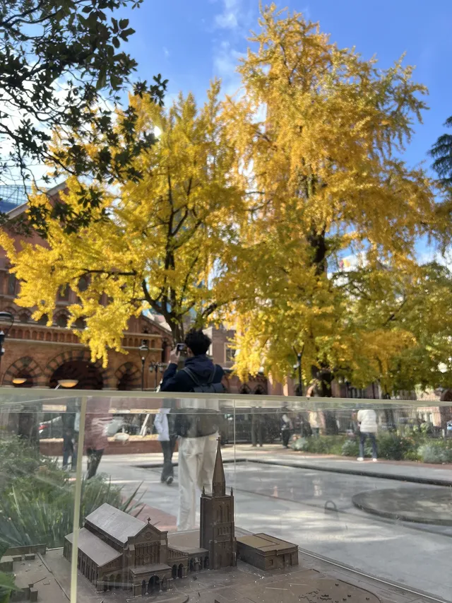 12.4外灘聖三一堂銀杏季已到附隱藏機位 12.4外灘聖三一堂銀杏季已到附隱藏機位