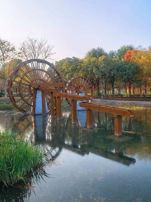 沔青園記 | 一脈水鄉印古今
