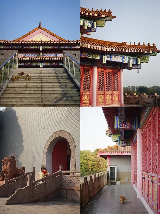 溫江藏著一個「紫禁城」，和銀杏同框太美啦