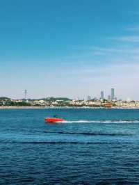 青島冬日兩日遊追海鷗逛老城超治癒