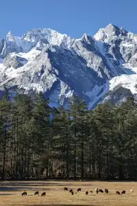 玉龍雪山12月初實況及遊玩路線