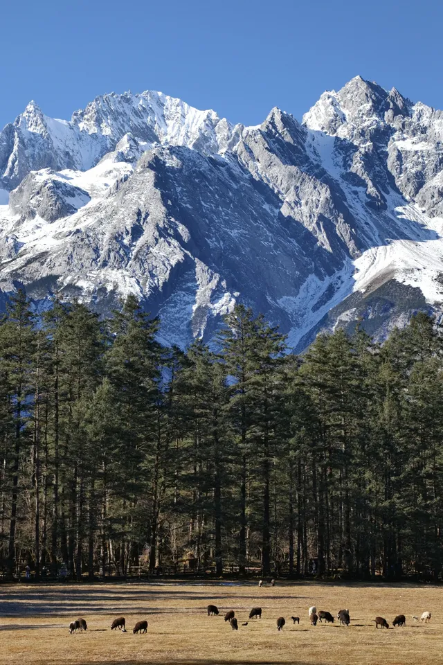 玉龍雪山12月初實況及遊玩路線