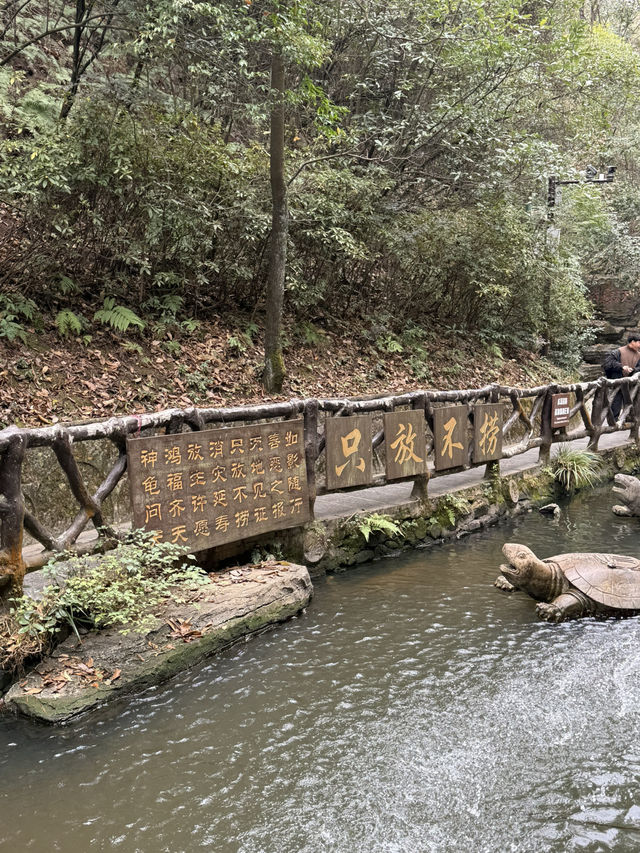張家界 / 神龜潭 張家界 / 神龜潭