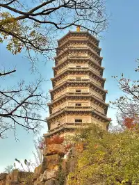 濮院賞秋地圖|拍出明星同款大片!