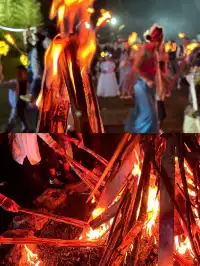 在冬天找到可以遛娃辦年會的神仙寶地|大理