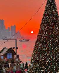 香港西九文化區聖誕樹 - 尖沙咀, 香港 - 全年 全天開放  - 超適合拍照打卡哦 - 聖誕