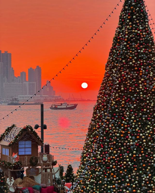 香港西九文化區聖誕樹 - 尖沙咀, 香港 - 全年 全天開放  - 超適合拍照打卡哦 - 聖誕