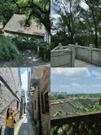 佛山小新疆治癒遊