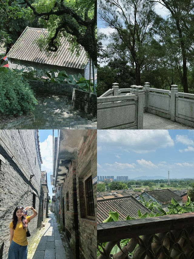 佛山小新疆治癒遊 佛山小新疆治癒遊