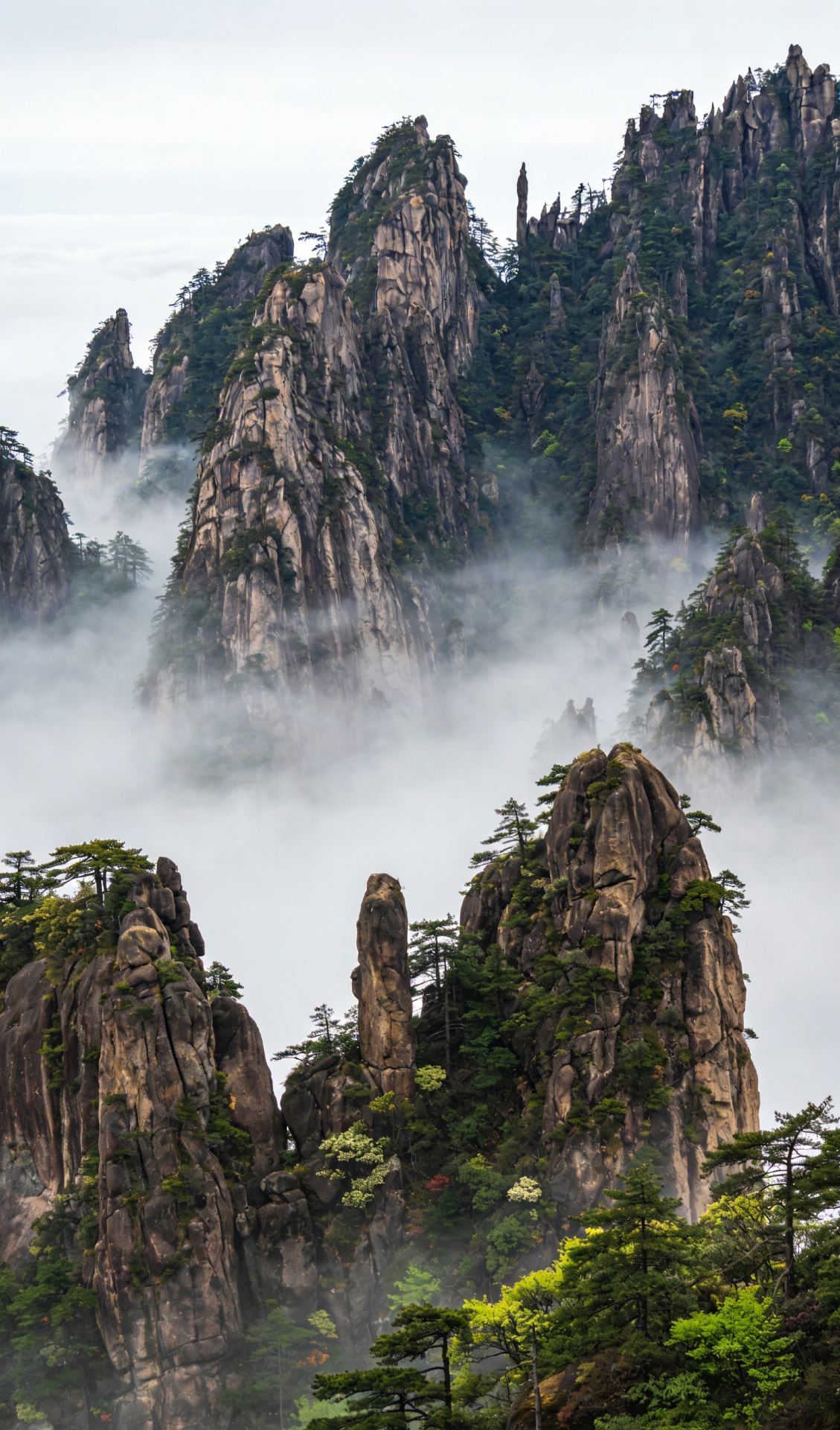 Cloud Mist Forest Selenium Hot Spring