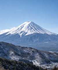12月14日日本受罪已回,說點難聽的大實話