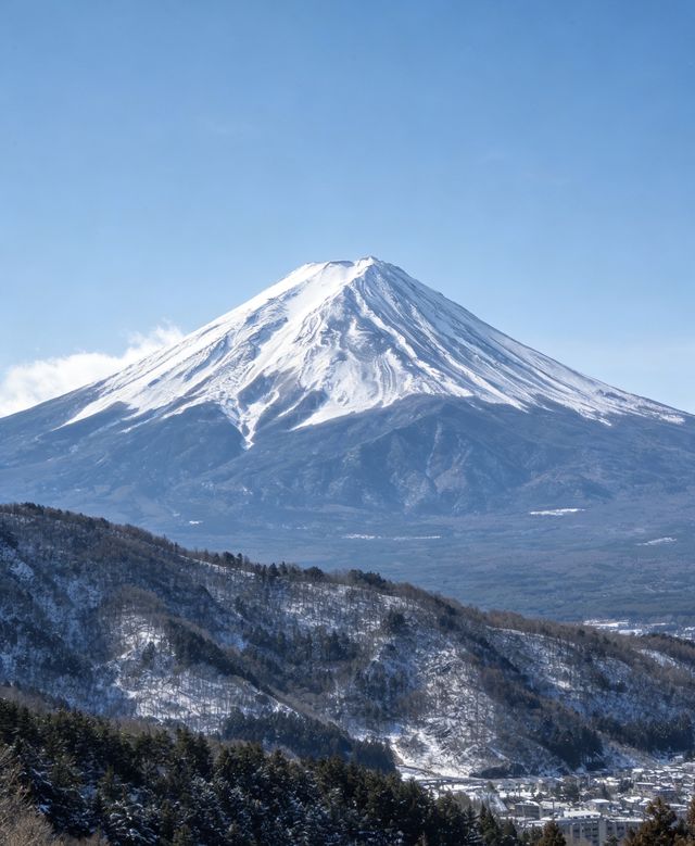 12月14日日本受罪已回,說點難聽的大實話 12月14日日本受罪已回,說點難聽的大實話