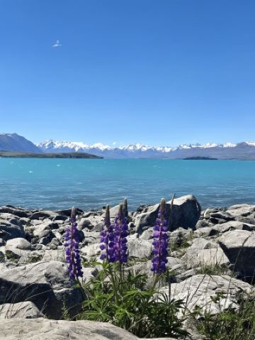 뉴질랜드로 여행하기 | 인기 여행지 선택하기 | 주요 주제