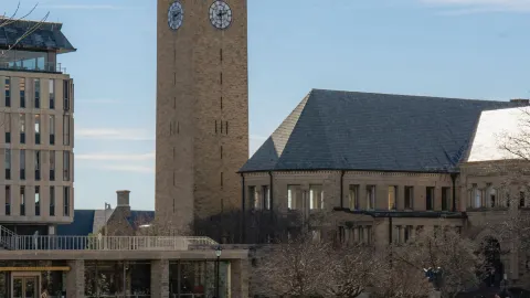 Springtime Bliss in Ithaca | Cornell University's Relaxing Sunny Afternoon Tea — traveler post in Ithaca