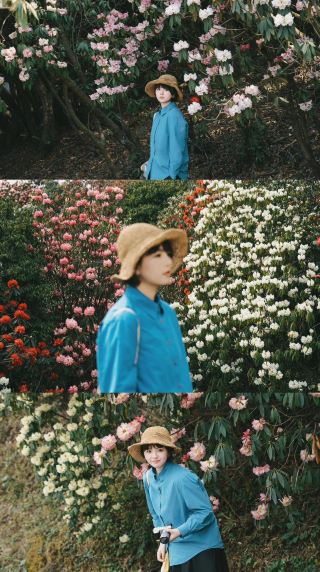 Complete Guide to Flower Viewing at Baili Azalea
