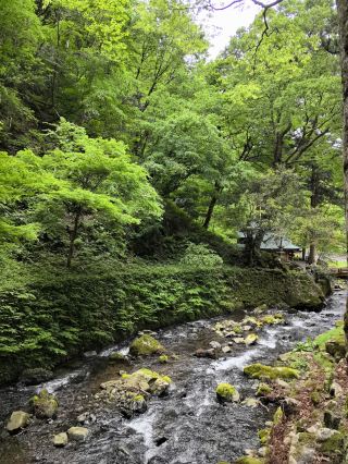 永平寺町の自然景観には、小川に架かる木造橋と、周囲を囲む豊かな緑が特徴的です。小さな小川もまた、永平寺町の自然景観の一部となっています。