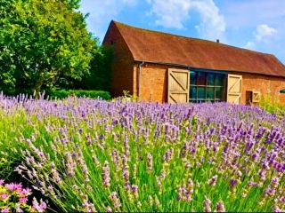 พิพิธภัณฑ์ Blakesley Hall แหล่งมรดกยุคทิวดอร์ใกล้สนามฟุตบอลเบอร์มิงแฮม