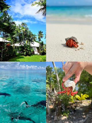 Fewer people than Fiji, cheaper than the Maldives, and visa-free for Chinese travelers!