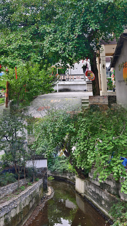 深溪岕村·山介咖啡(800年古村) 参考图 5