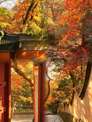To be honest, if it's your first time visiting Guoqing Temple in Tiantai, please, please don't go with a tour group! The most beautiful thing about Guoqing Temple isn't the tourist attractions, but the autumn leaves.