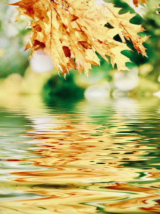 Autumn foliage at Qipanshan Mountain and Xiuhu Lake in Shenyang