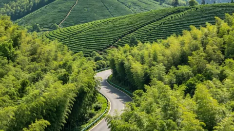 เที่ยวสั้นๆ รอบเจียงซูแบบคนไม่พลุกพล่าน! บรรยากาศดีงามจนใจฟู — traveler post in อู๋ซี