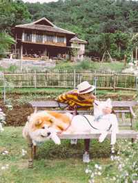 Mori Natural Farm โมริ เนเชอรัลฟาร์ม เชียงใหม่ 