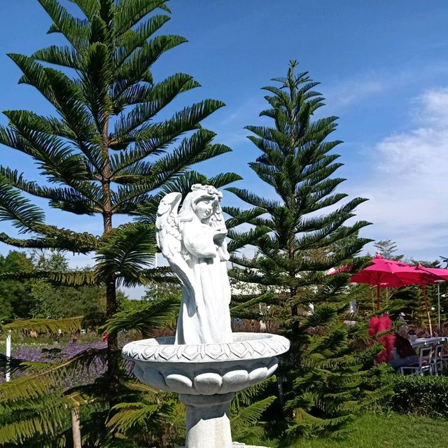 เที่ยวคาเฟ่สวนสวย @ปลายนาฟลาวเวอร์