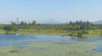 Hong Kong Wetland Park - Wetland and Marshes