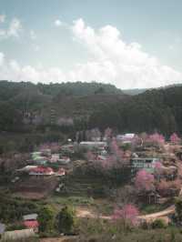 หมู่บ้านสีชมพู