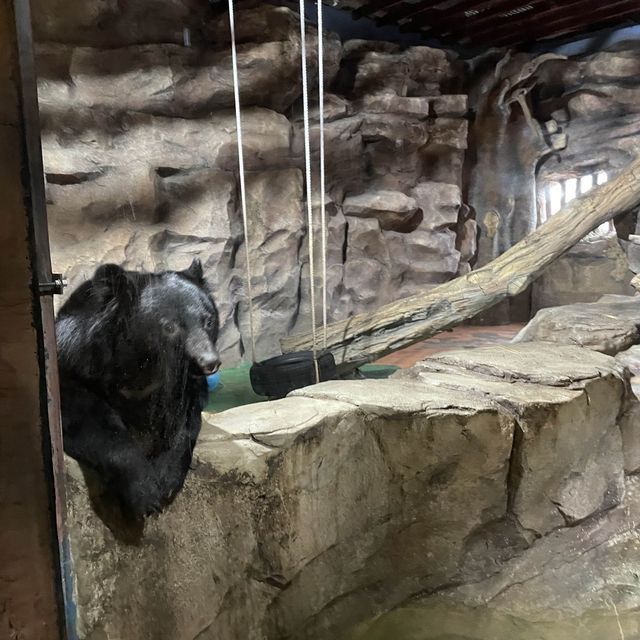 서울근교 아이와 가볼만한곳 아쿠아리움과 동물원이 한곳에😆