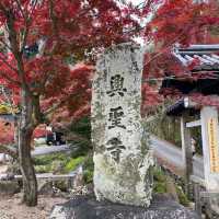 神秘古剎—日本京都宇治市「興聖寺」
