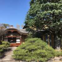 地蔵・仏像大集合【妙楽寺】