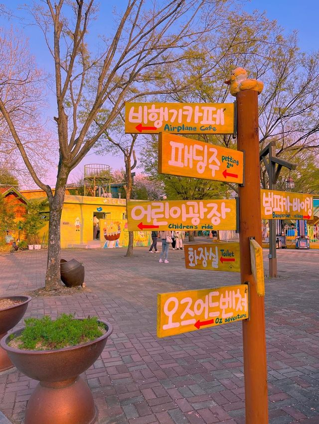 동화 속에 온 듯한 벚꽃뷰 놀이공원 🎡🌸