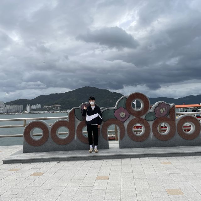 여수 여행의 필수코스, 산책하기 좋은 섬 오동도